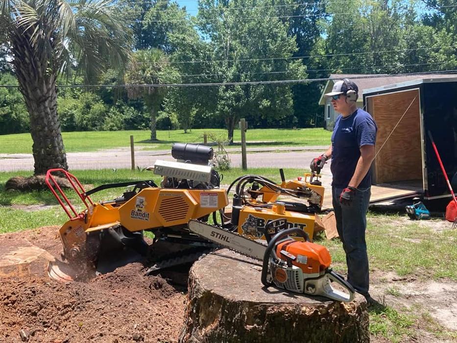 Southern Crab Stump Grinding Image