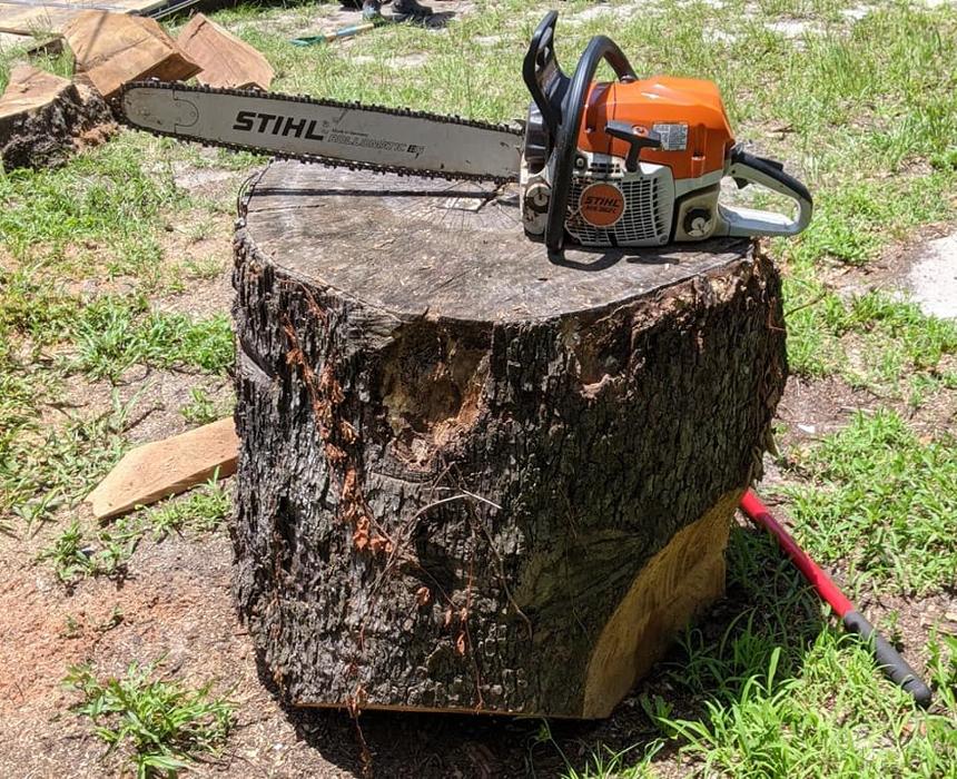 Southern Crab Stump Grinding Image