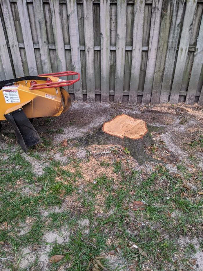 Southern Crab Stump Grinding Image