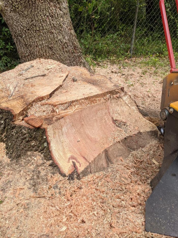 Southern Crab Stump Grinding Image