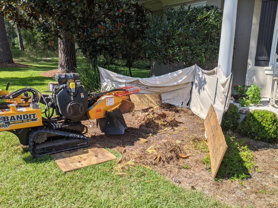 Southern Crab Stump Grinding Image
