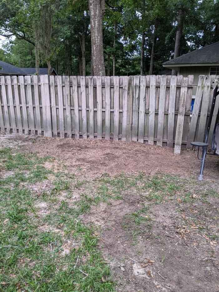 Southern Crab Stump Grinding Image