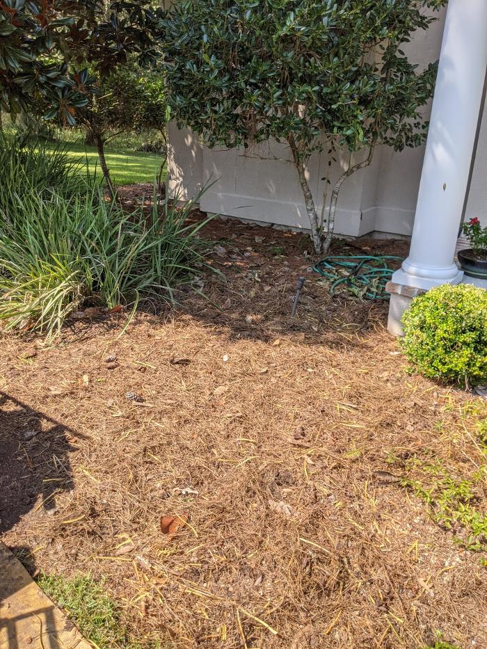 Southern Crab Stump Grinding Image