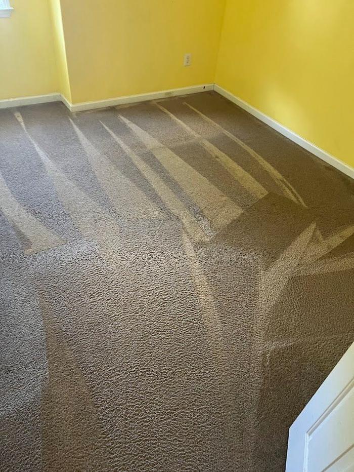 VeriClean Carpet Cleaning - Douglasville, GA