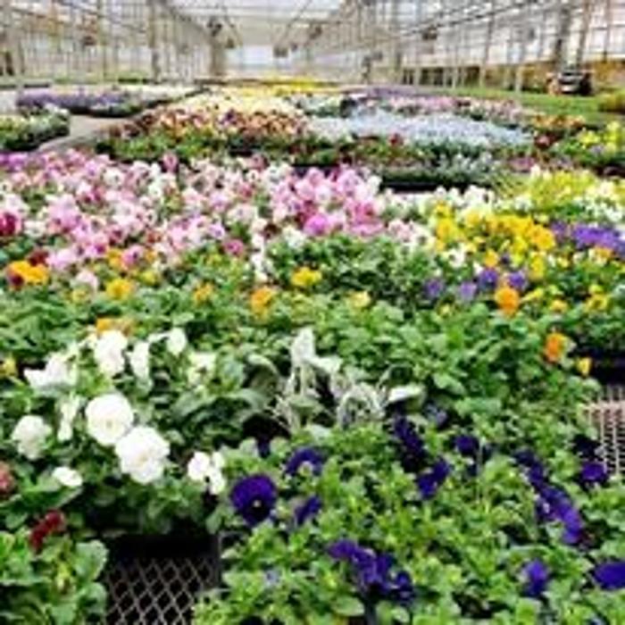 DRLscape, LLC - Monroe, GA