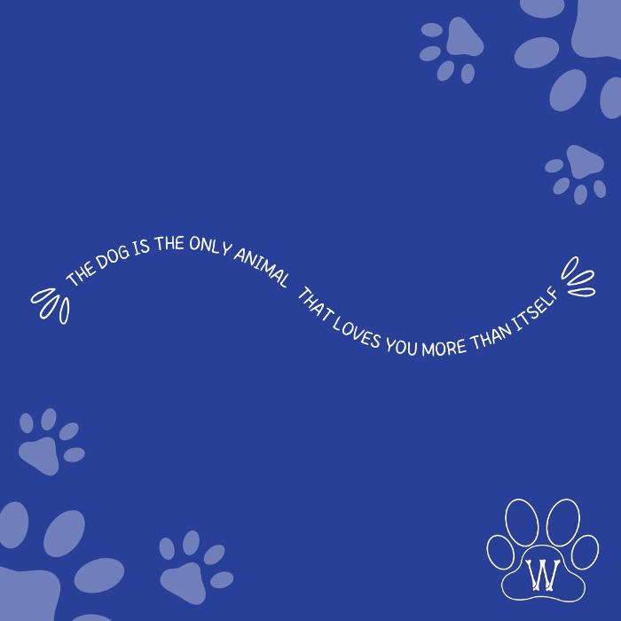 Woofred's Dog Training - New Orleans, LA