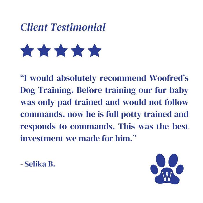 Woofred's Dog Training - New Orleans, LA