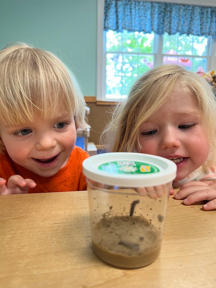 Learning Paths Academy Heathcote - Haymarket, VA