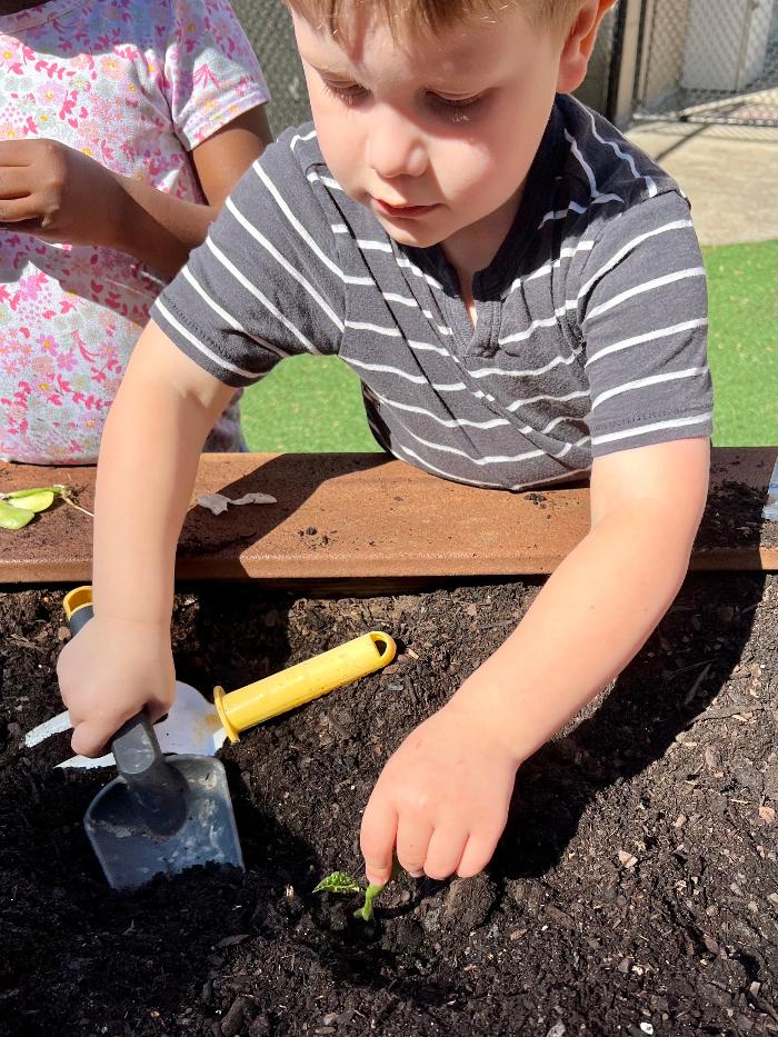 Learning Paths Academy Heathcote - Haymarket, VA