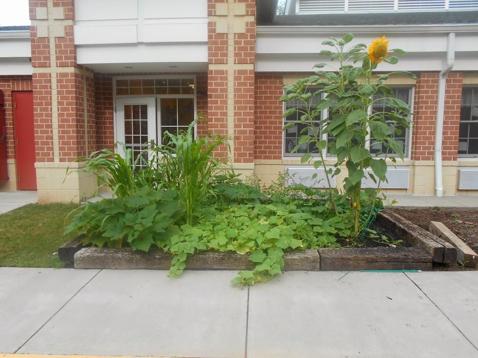 Learning Paths Academy Heathcote - Haymarket, VA