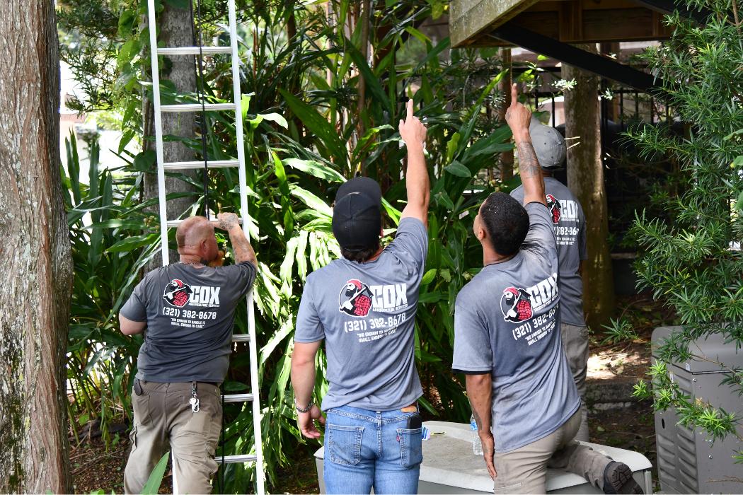 Cox Arboriculture Services Image