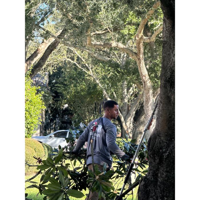 Cox Arboriculture Services Image