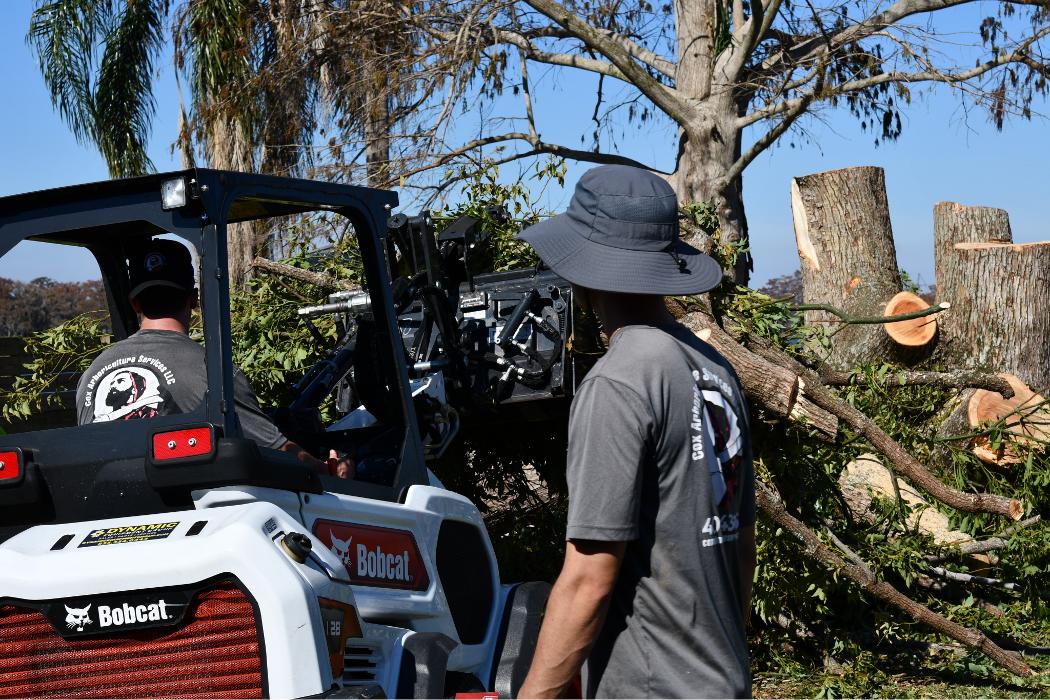 Cox Arboriculture Services Image