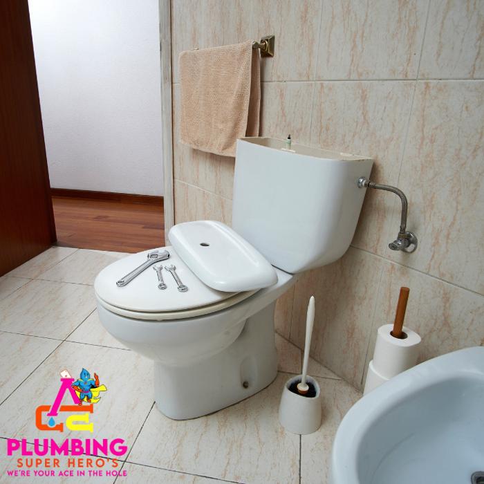 Action Craft Experts, Plumbing, Drains, &amp; Water Heaters Logo