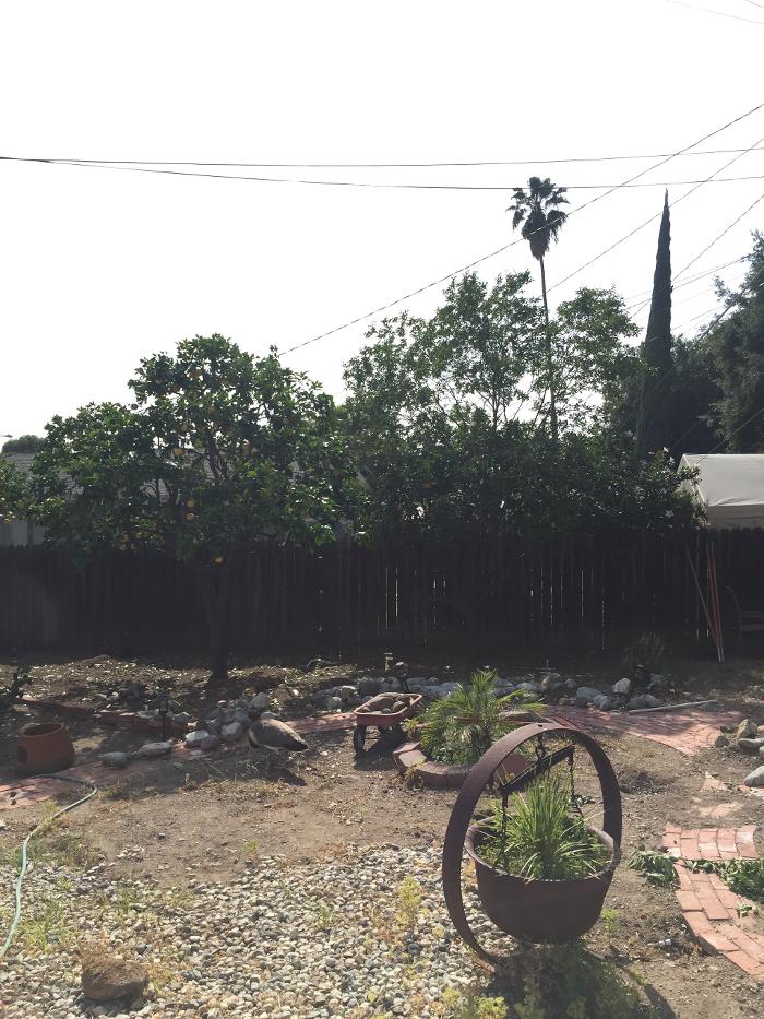 Perfection Tree Specialist Image