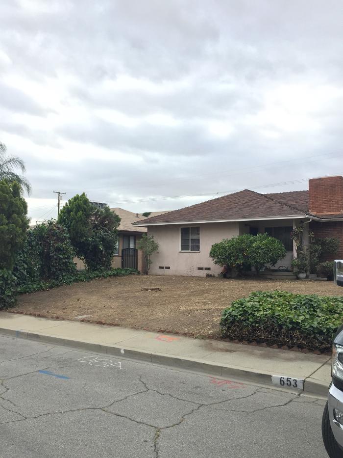 Perfection Tree Specialist Image