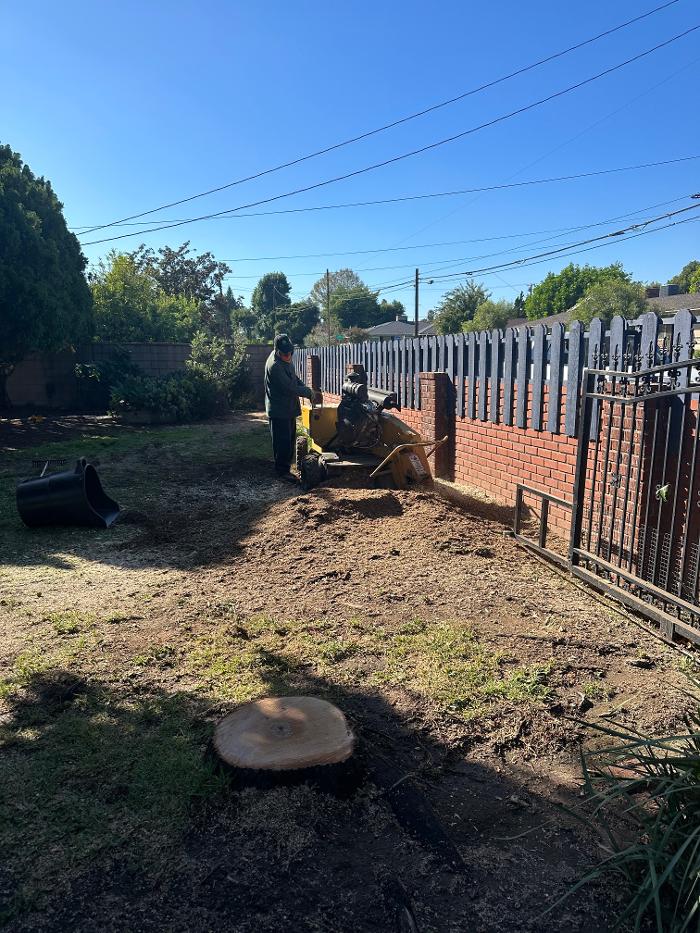 Perfection Tree Specialist Image