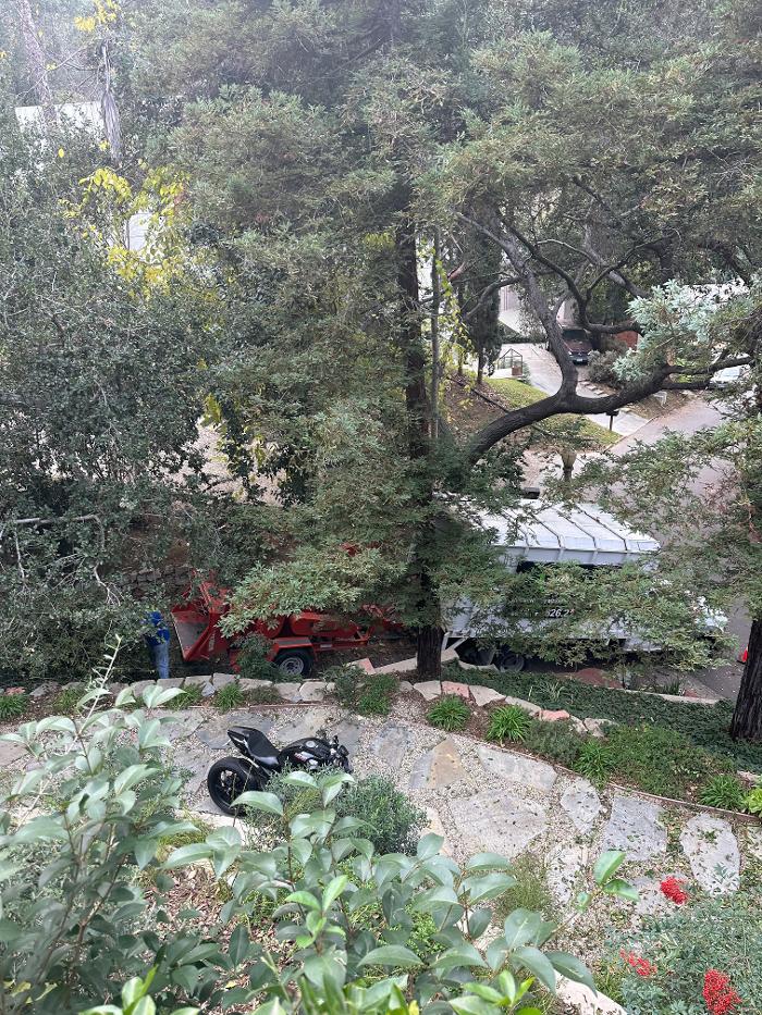 Perfection Tree Specialist Image