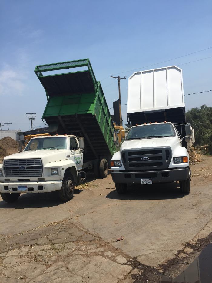 Perfection Tree Specialist Image