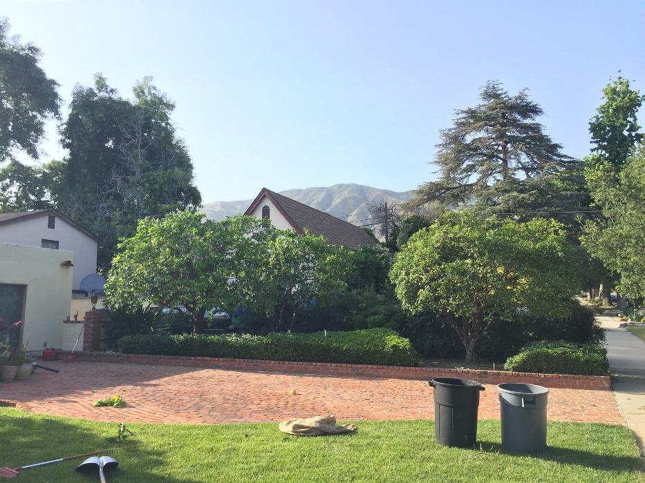 Perfection Tree Specialist Image