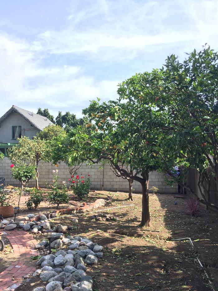 Perfection Tree Specialist Image