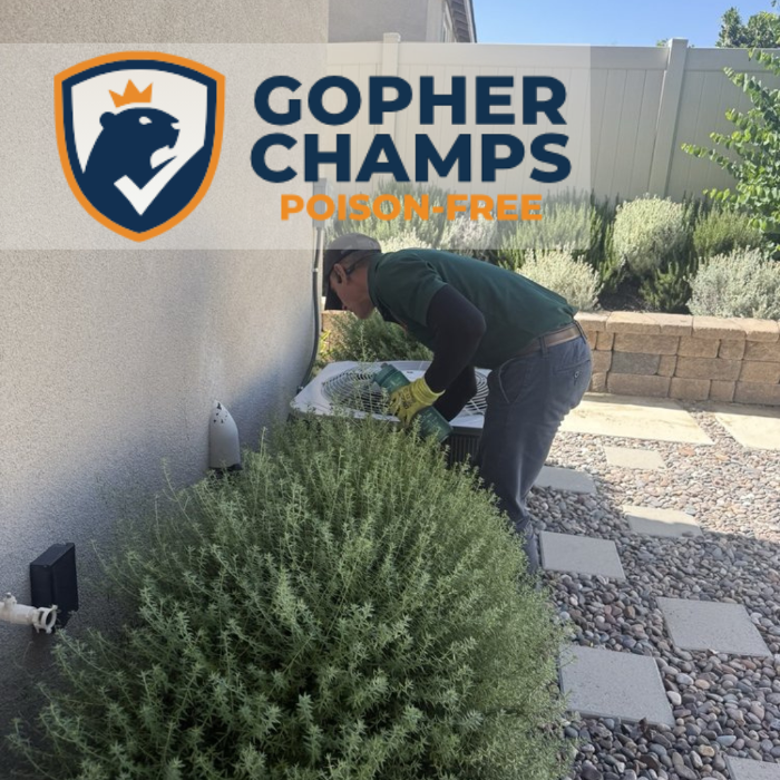 Professional gopher control with respect for the property.