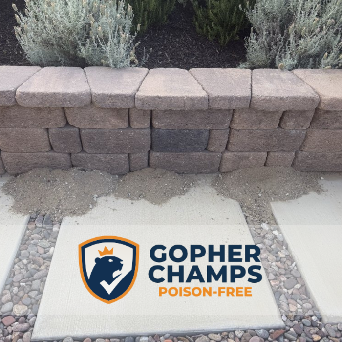 Clean work, clear process, and dependable gopher control from a local team.