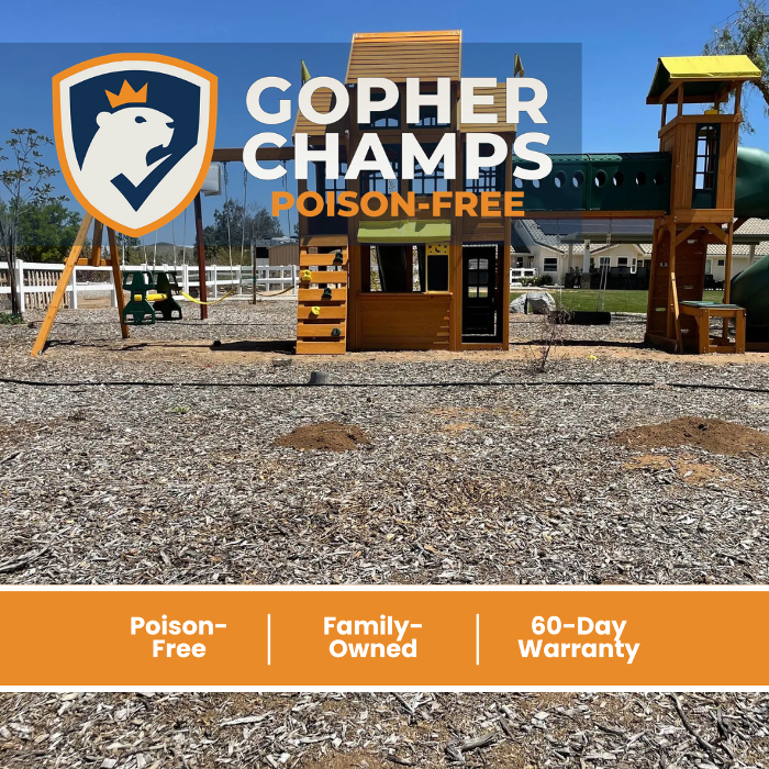 Trusted gopher control with a clear process and dependable follow-through.