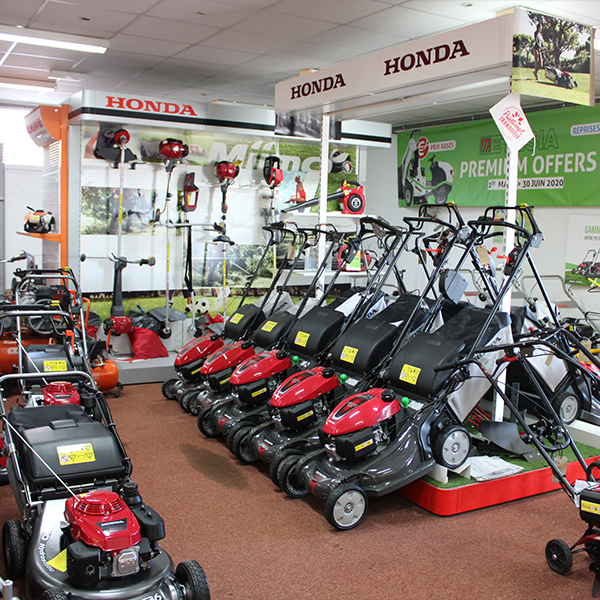 Miniature de la galerie