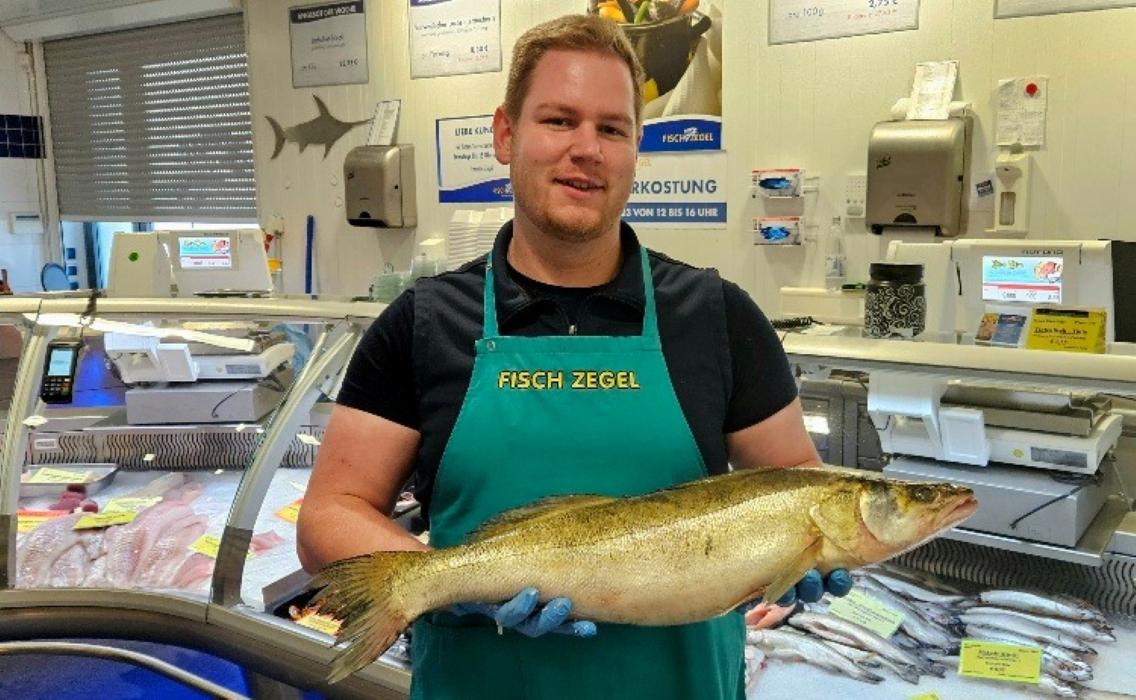 Fisch Zegel, Krefelder Straße in Aachen