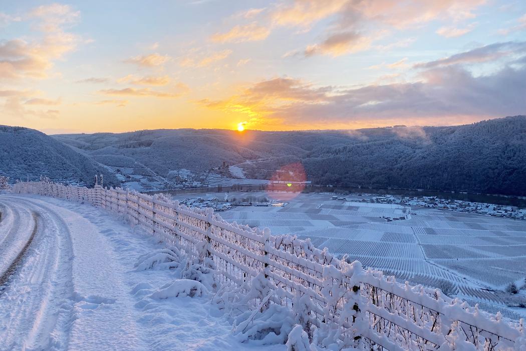 Weingut Heinz Dehren, Kurfürstenstraße in Ellenz-Poltersdorf