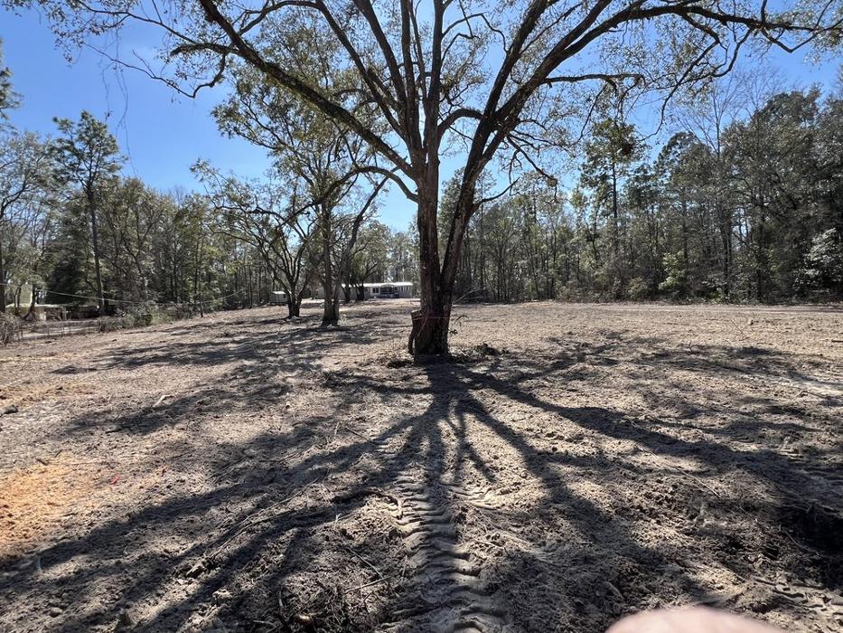 H&T Timber, LLC Image