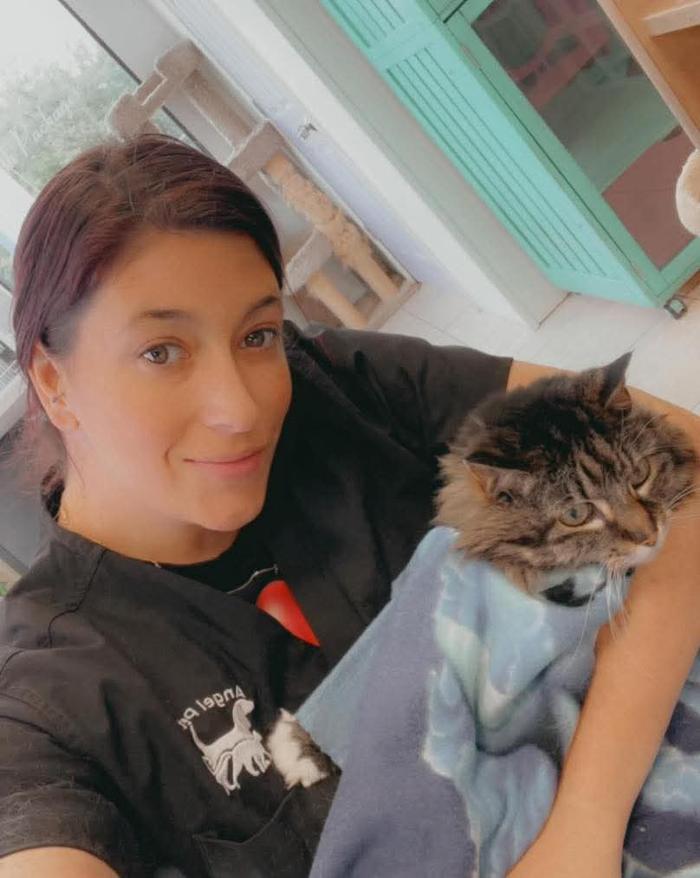 Angel Pets, LLC - Garden City, SC