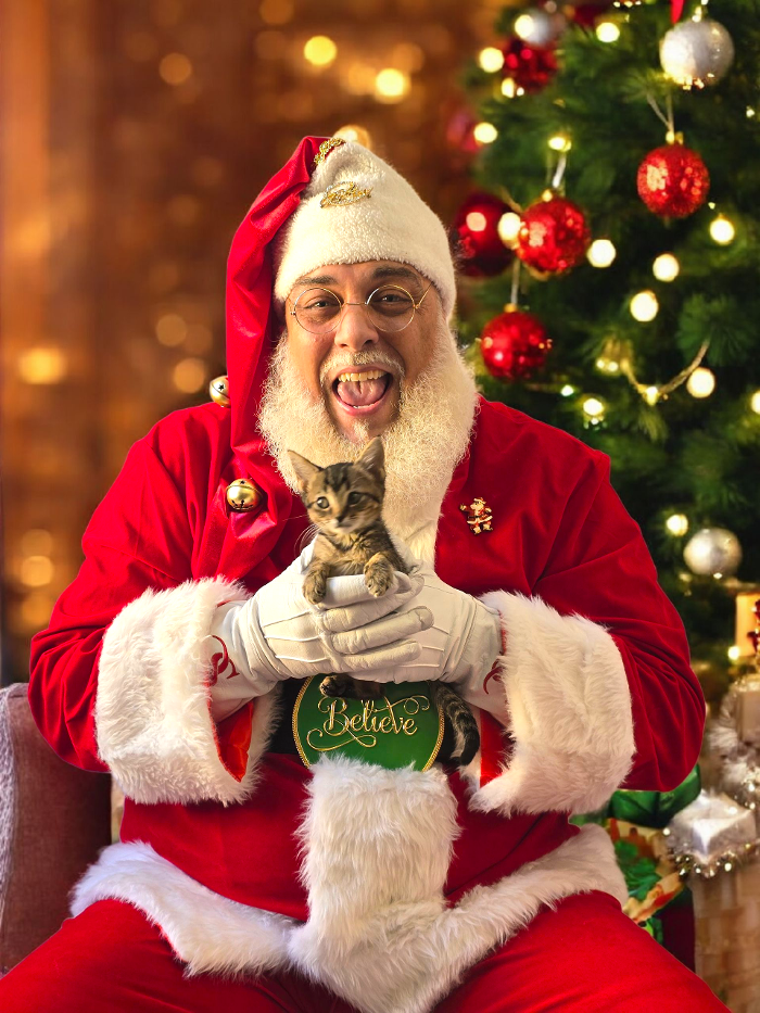 Angel Pets, LLC - Garden City, SC