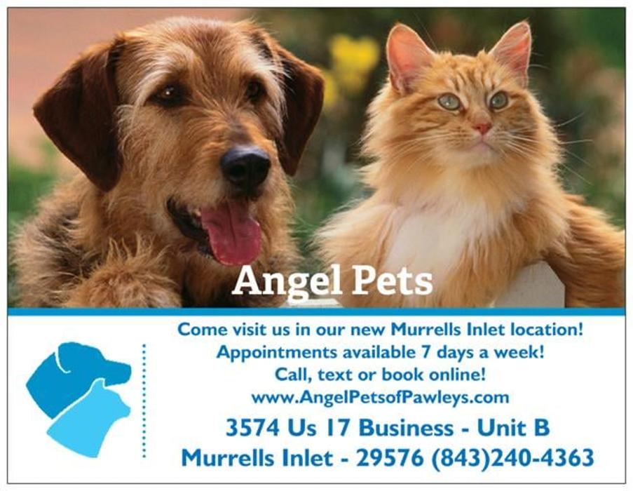 Angel Pets, LLC - Garden City, SC