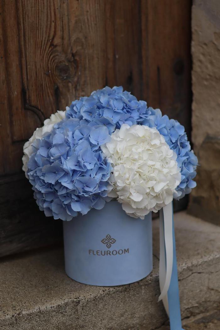 Fleuroom, Olympiaplatz in Wien