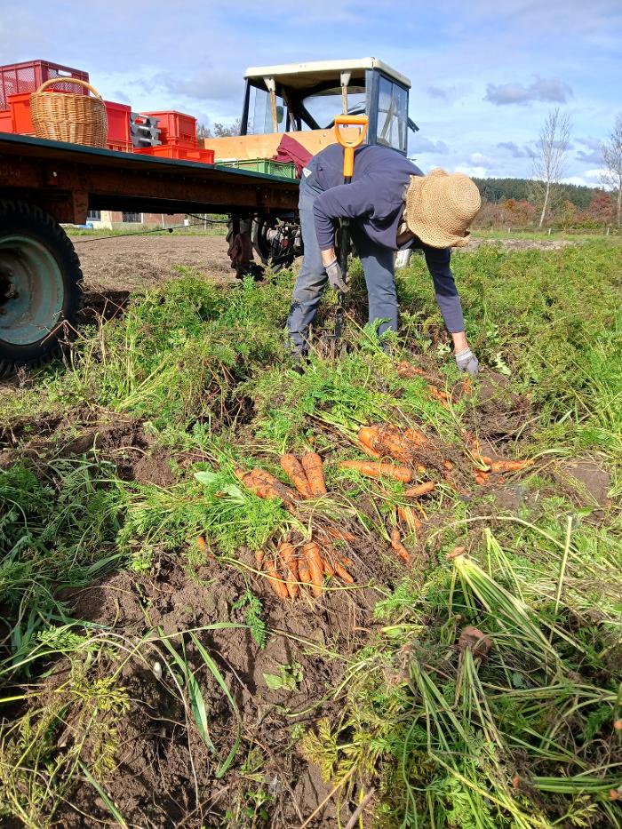 Demeterhof, Biohofladen, SolaWi Schmiedhof Fam. Müller, Tattenkofener Straße in Ascholding