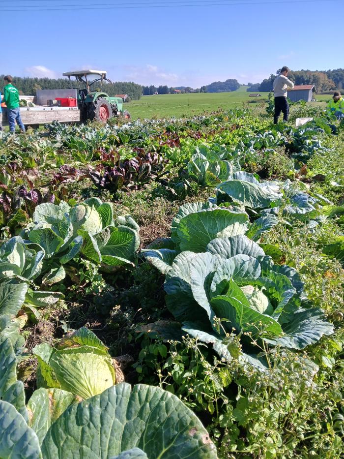 Demeterhof, Biohofladen, SolaWi Schmiedhof Fam. Müller, Tattenkofener Straße in Ascholding