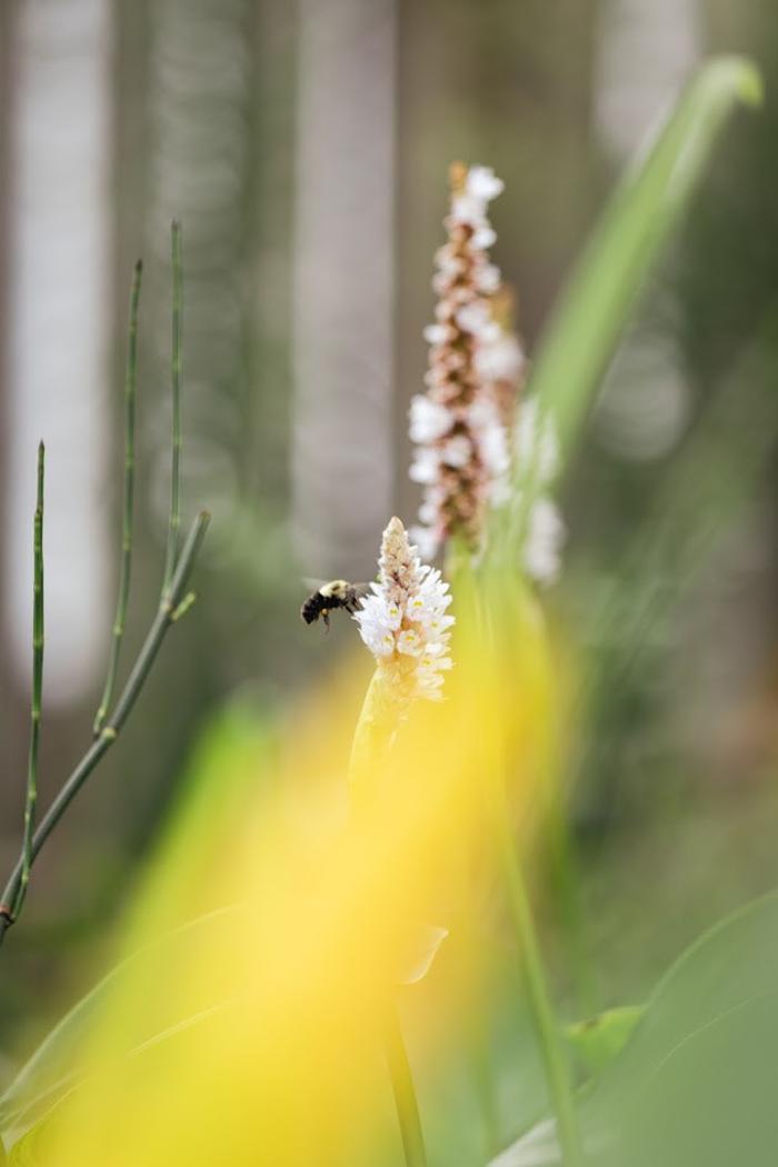 Pollinative Sustainable Land Management & Education Image