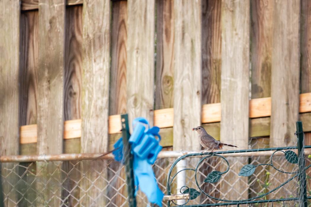 Pollinative Sustainable Land Management & Education Image