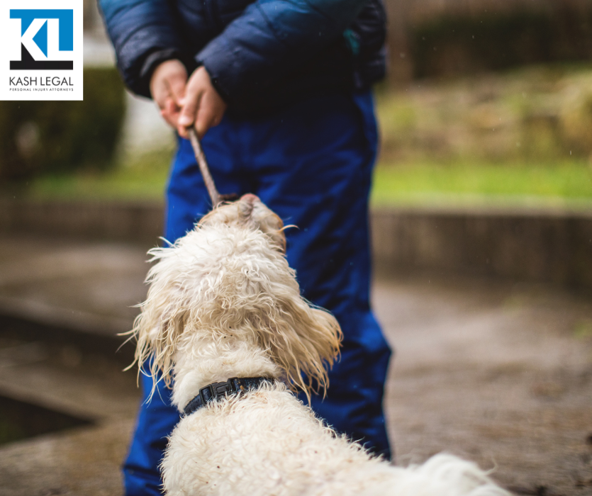 Kash Legal Group - Fresno Personal Injury and Accident Lawyers Image