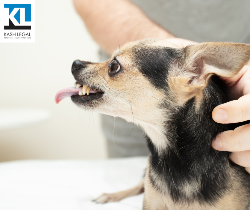 Kash Legal Group - Palm Desert Personal Injury and Accident Lawyers Image