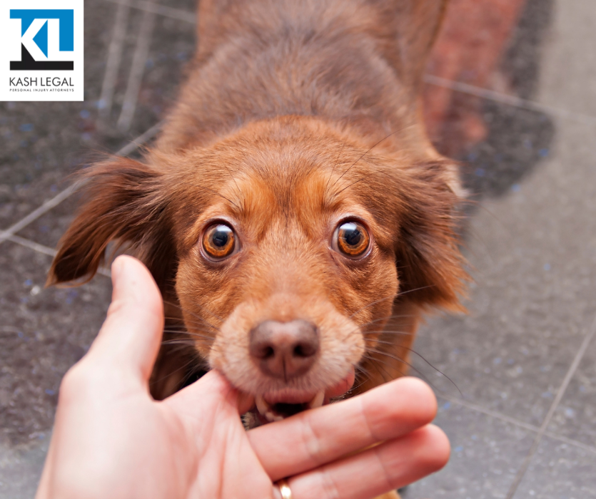 Kash Legal Group - Victorville Personal Injury and Accident Lawyers Image