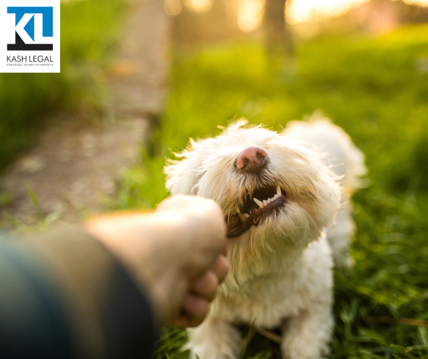 Kash Legal Group - Fairfield Personal Injury and Accident Lawyers Image