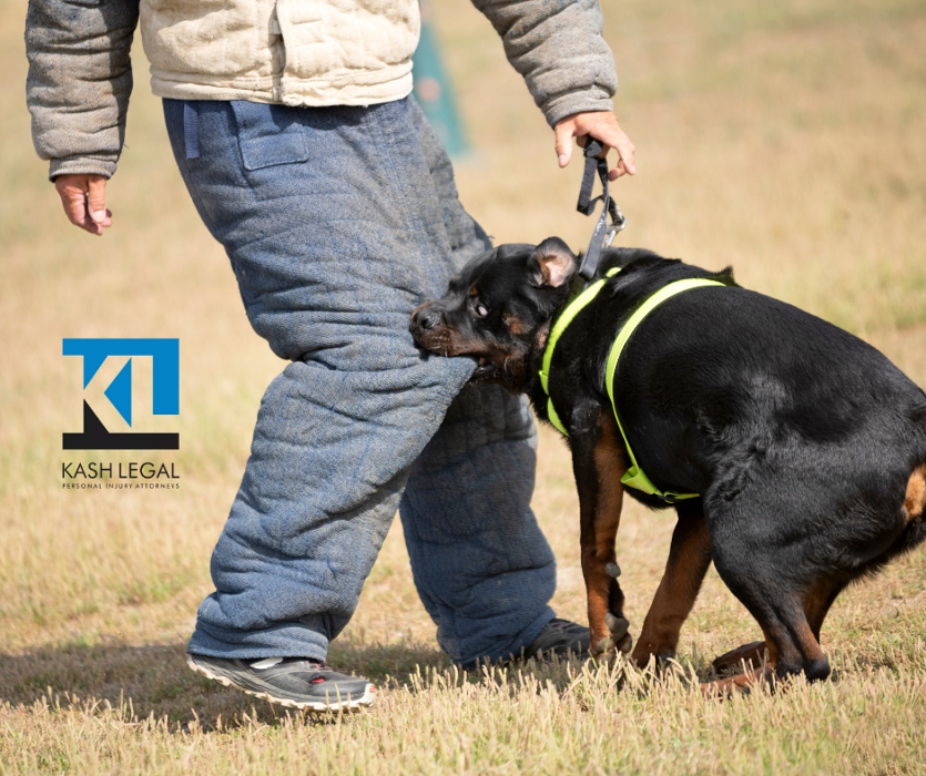 Kash Legal Group - Cupertino Personal Injury and Accident Lawyers Image