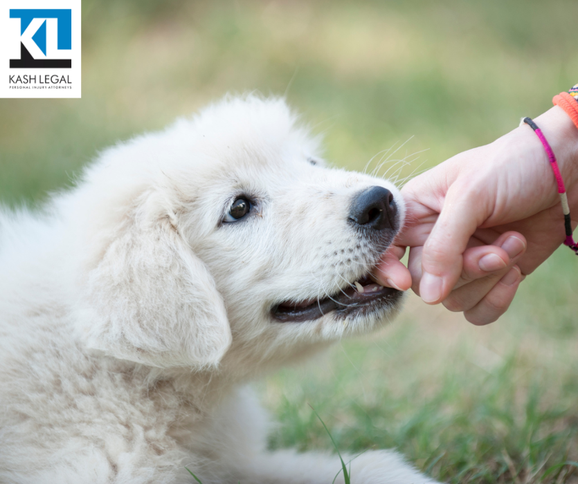 Kash Legal Group - Pleasant Hill Personal Injury and Accident Lawyers Image