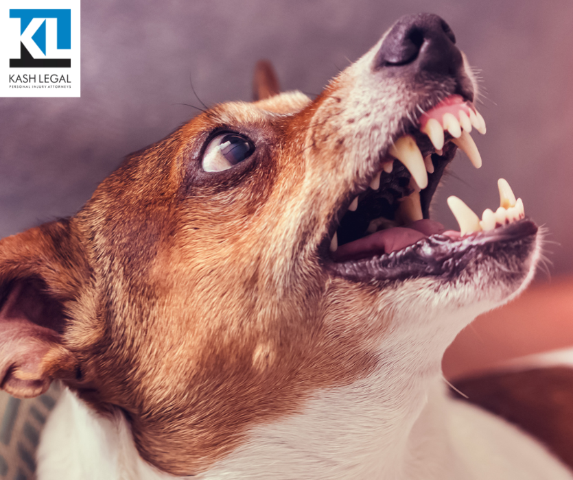 Kash Legal Group - Bakersfield Personal Injury and Accident Lawyers Image