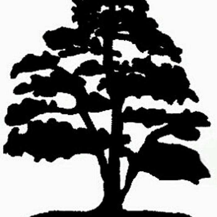 Gärtner Widmer in Würenlingen