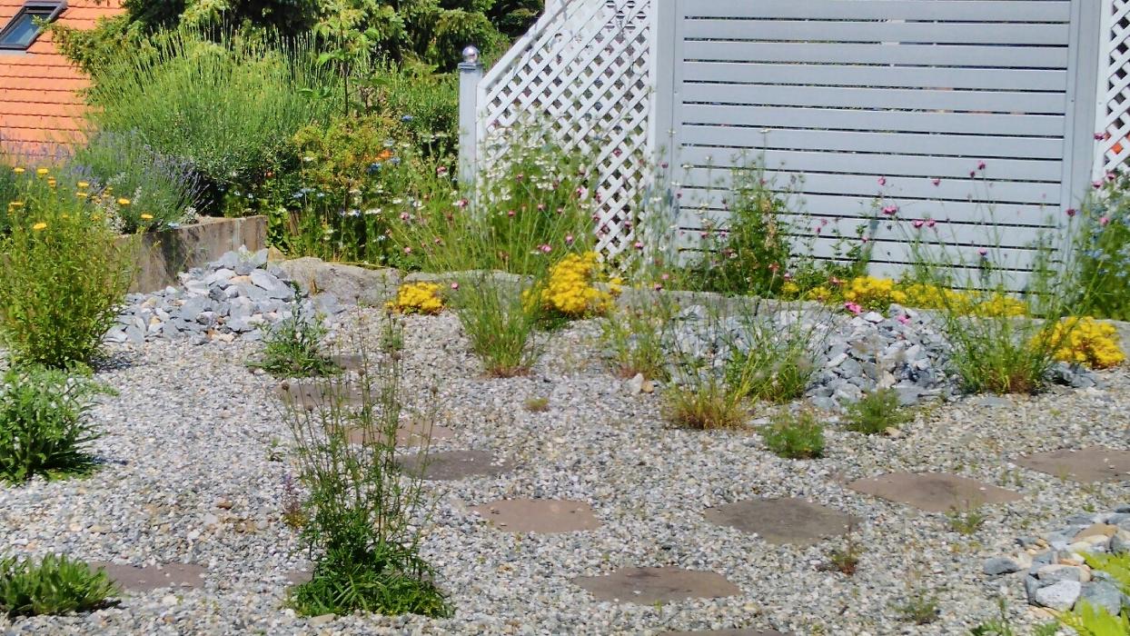 Gärtner Widmer, Endingerstrasse in Würenlingen