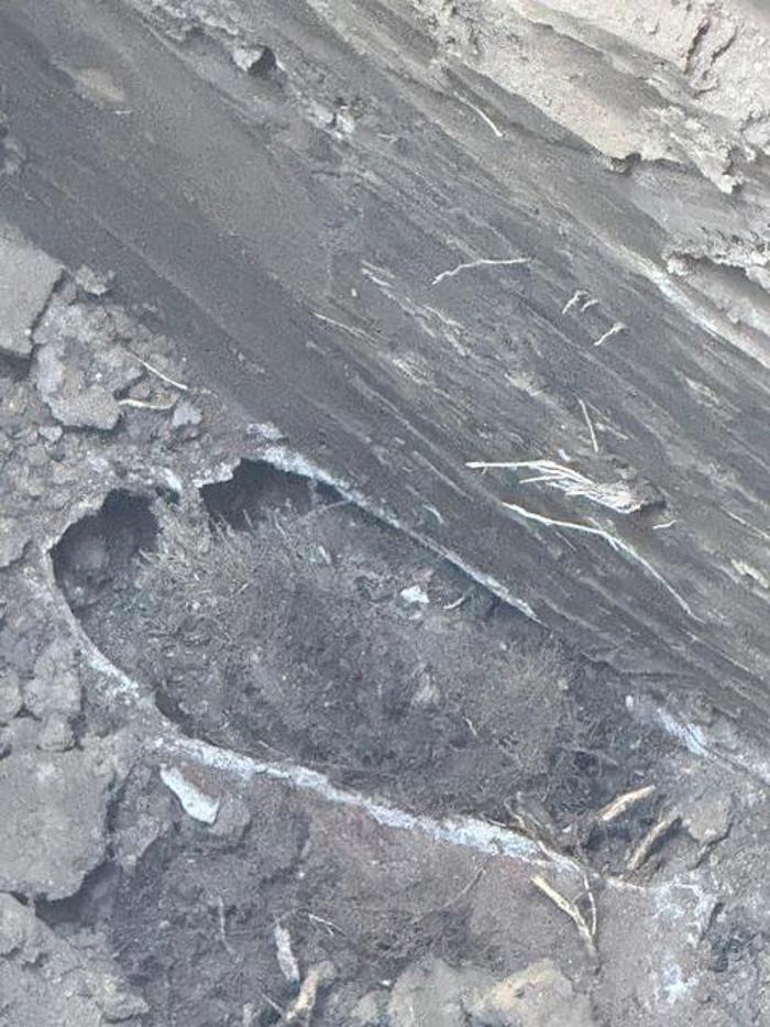 Devine Sewer & Drain Services L.L.C Image